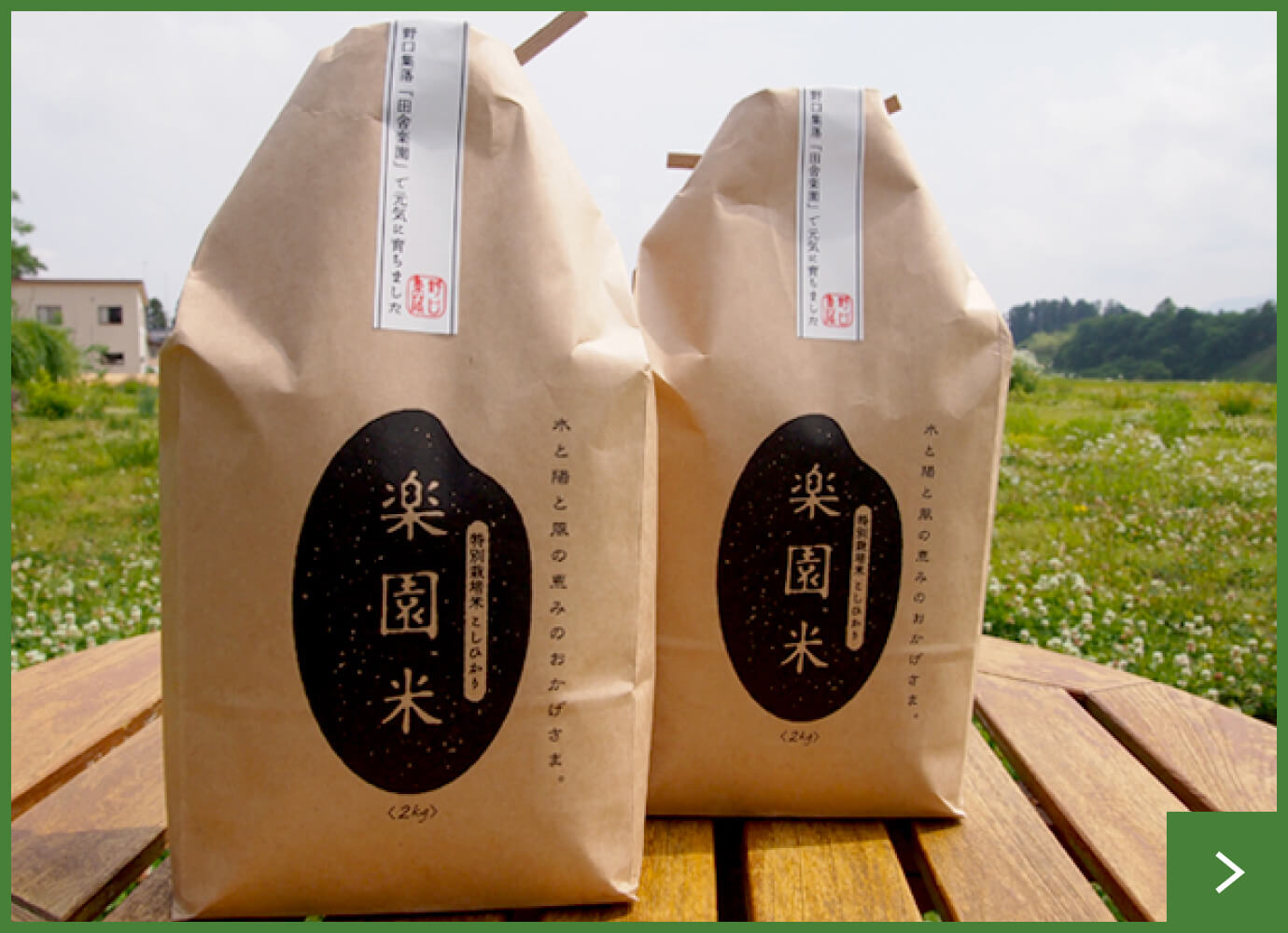 特別栽培米 こしひかり楽園米