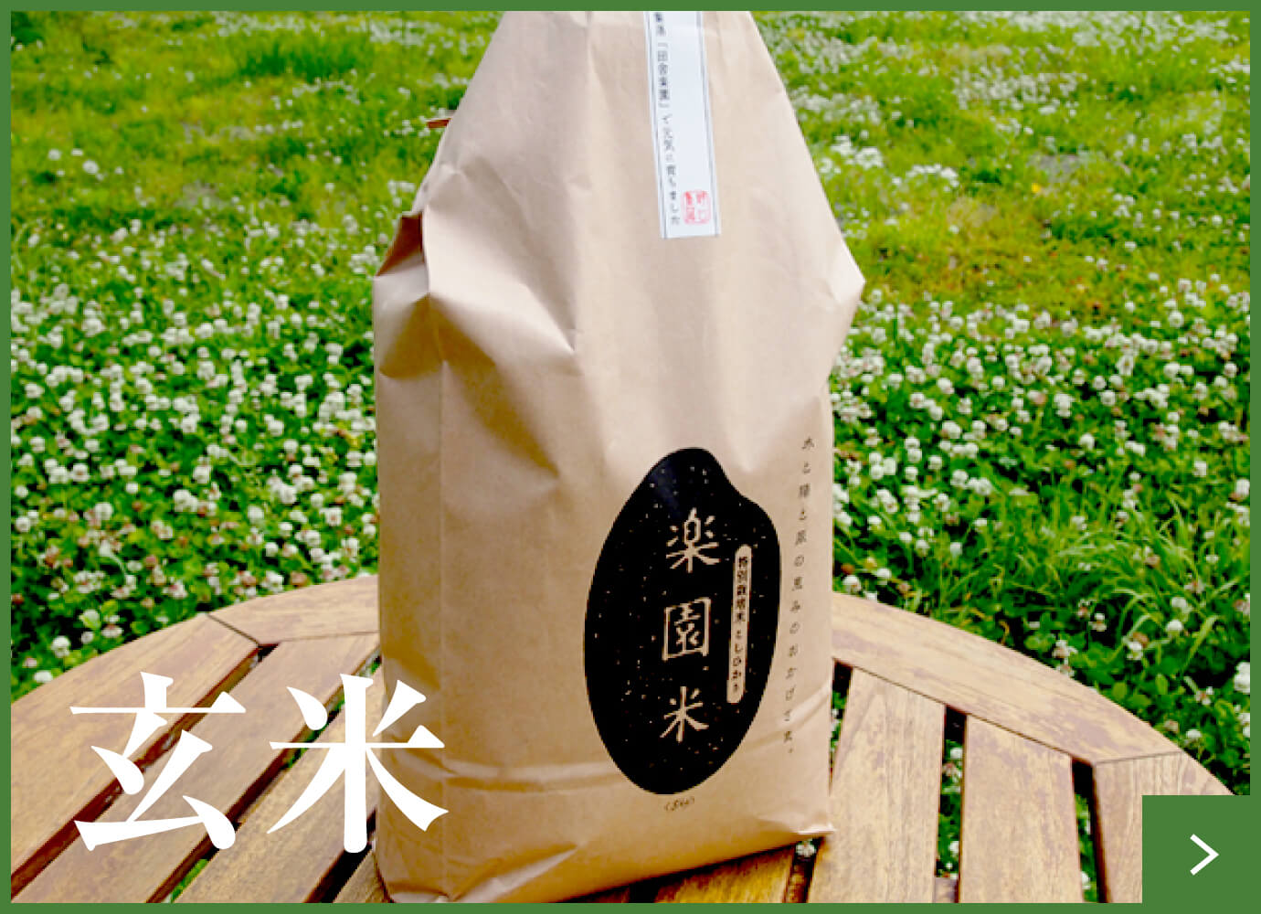 特別栽培米 こしひかり楽園米 玄米